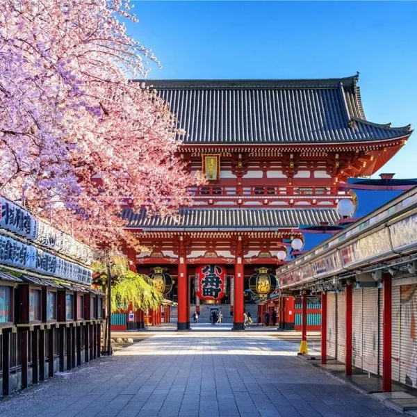 想了解更多深度数据分析，助您洞察比赛脉络。相关内容，尽在海星体育kaifengbo。 - 海星体育kaifengbo