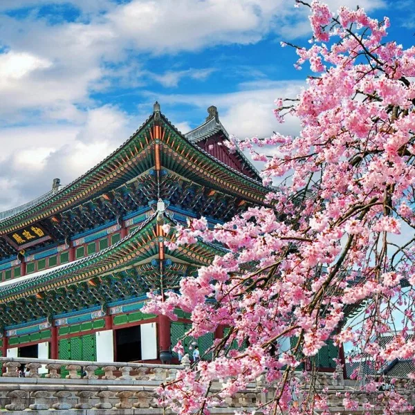 (Tours) - Elevate Your Travel Experience - 海星体育kaifengbo