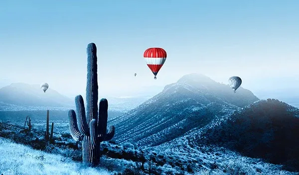 (Flights) - Great Service. Great Value. Great Flying. - 海星体育kaifengbo